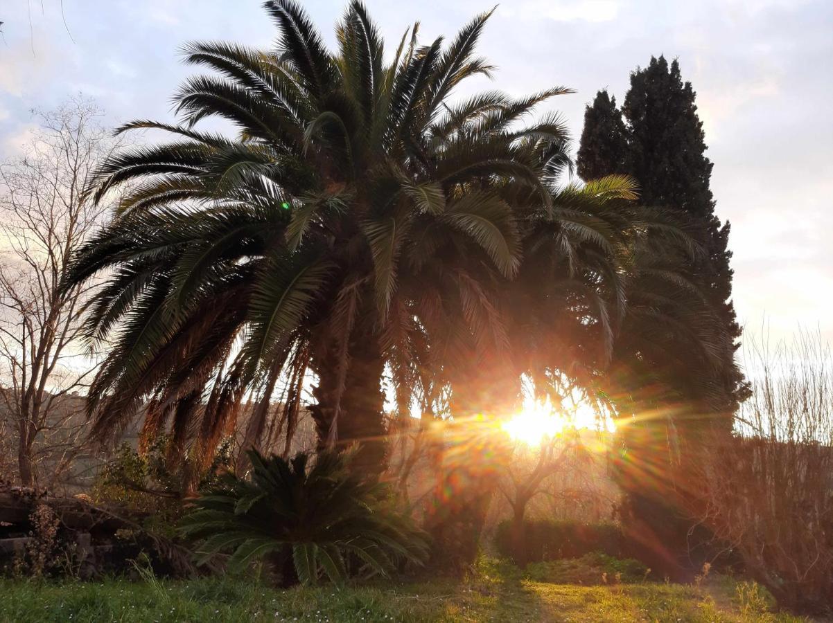 La Meriggia Senigallia Agriturismo Ancona Eksteriør bilde